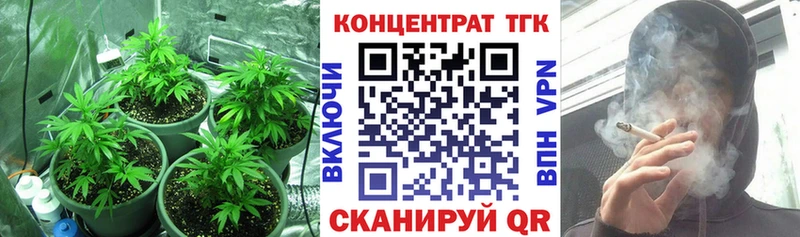 ТГК концентрат маркетплейс Telegram Оленегорск